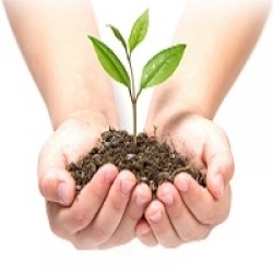 Средства защиты растений